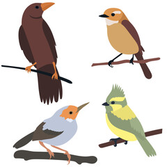 Sticker - birds on a branch flat design, isolated, vector