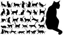 Cats Set Black Silhouette Isolated Vector