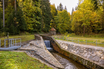 Wall Mural - Talsperre Neunzehnhain