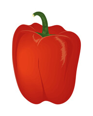 Wall Mural - red pepper vegetable icon