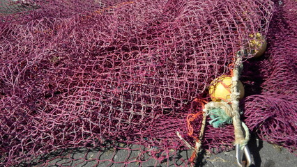 pink and purple net