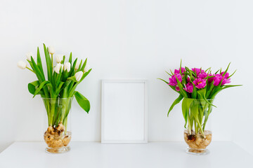 Wall Mural - Two bouquets of white and purple tulips on the table