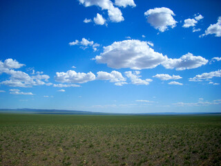 Mongolia's vast meadow, endless landscape