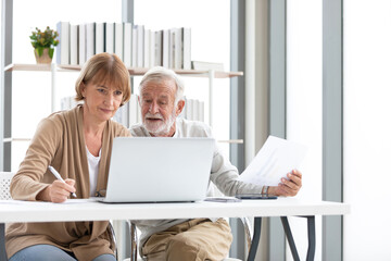 Wall Mural - senior businesswoman and businessman talking and working together with laptop computer