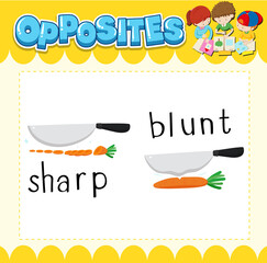 Wall Mural - opposite words for sharp and blunt