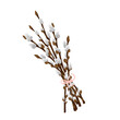 Easter bouquet from spring twigs easter blossom pussy willow tree with a bow. Vector spring holiday illustration in cartoon flat style isolated on a white background.