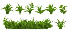 Realistic Fresh Green Grass, Weed And Herb Leaves. Spring Plant Tufts And Bushes. Summer Field, Garden Lawn Or Meadow Vegetation Vector Set