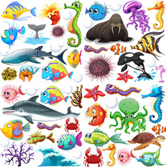 Wall Mural - different types of sea animals