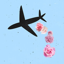 Contemporray Art Collage. Black Plane Flying Over Blue Background With Pink Flowers Falling Down
