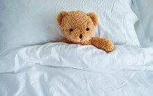 Cute Teddy Bear Sleeping In The Bed