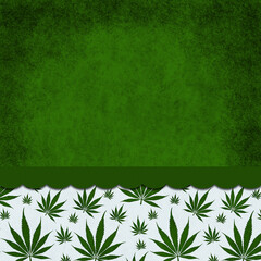 Wall Mural - Weed background with cannabis on grunge white with a ribbon