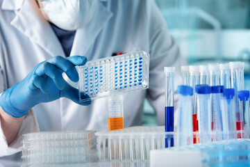 Wall Mural - Doctor working with panel microplate for diseases diagnostic in the laboratory. hand of researcher working with microplate for elisa analysis