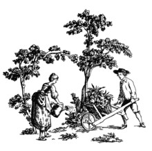 Пraphic Retro Illustration Of The Harvest In The 19th Century