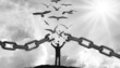 Young Man Break Chain with Birds Flying Away. Shiny Sun rays. Hope, Liberation and Freedom Concept 