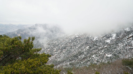 Wall Mural - The snow, fog, and winter mountains on March 19th.