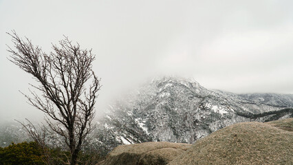 Wall Mural - The snow, fog, and winter mountains on March 19th.