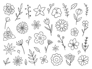 Wall Mural - hand drawn set of flowers and branches doodle. floral and herbal elements.in sketch style. vector il