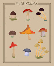 Mushrooms Vintage Autumn Illustration. Cartoon Vintage Style. Card With Mushrooms 