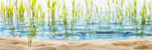 Sunshine On Beautiful Empty Sand Beach Lakeside On A Summer Day, Blurred Water Background With Grasses And Sunlight, Recreation In Nature Concept With Copy Space