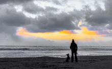 Dog And Owner Still On A Beach