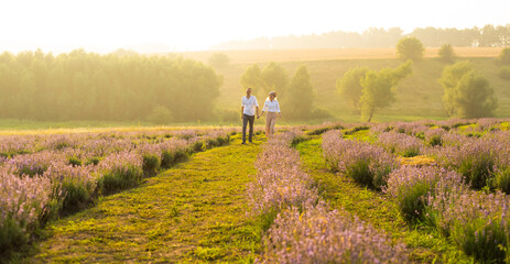 Wall Mural - Beautiful couple on the lavender field