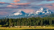 Three horses grazing in a central Oregon meadow near Sisters with the three sisters mountains in the background