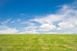 © PaganoFotos - Beautiful prairie landscape with green grass and blue sky with clouds, ideal for wallpaper