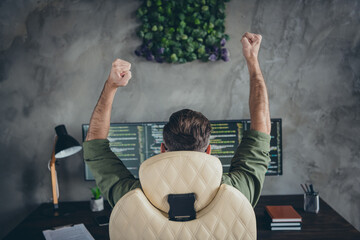 Back rear spine photo of lucky crazy web design expert writing code quality front end raise fists up sit desktop in workspace