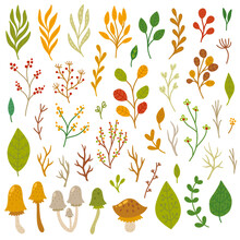 Branches And Leaves, Autumn Decorative Elements, Vector Illustrations Set