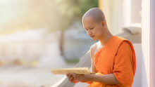 Young Buddhist Monk At Buddhism Temple Reading Buddhist Book