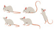 © MVshop - Set of white mouse in different angles and emotions in a cartoon style. Vector illustration of herbivorous animals isolated on white background.