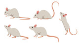 Fototapeta Fototapety na ścianę do pokoju dziecięcego - Set of white mouse in different angles and emotions in a cartoon style. Vector illustration of herbivorous animals isolated on white background.