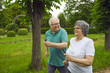© Studio Romantic - Happy active senior couple enjoying jogging workout on warm summer morning. Energetic old husband and wife running along green park path together. Sport, fitness and healthy lifestyle concept