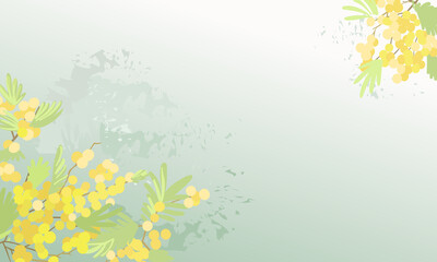  spring floral background. mimosa flowers on a pale green background with splashes of paint