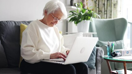 Wall Mural - Senior woman using laptop at home
