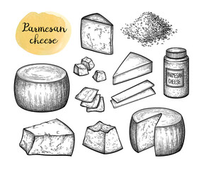 Canvas Print - parmesan cheese ink sketch.