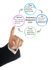 Wall Mural - Components of Performance Management Cycle.