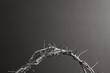 Isolated partial crown of thorns on a black background with copy space