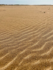  textura de arena húmeda con ondas de viento 