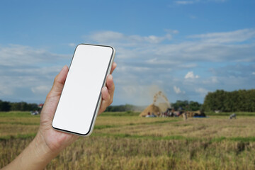 man hand holding smartphone mock up image,background blurred rice field while farmer harvesting.concept technology smart farmer