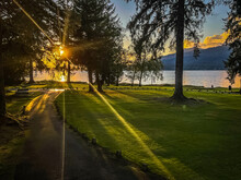 Lake Quinalt, Olympic National Park, Sunset, Trees, Lake, Grass