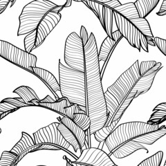 Poster - Seamless floral pattern with Tropical bananas leaves. Tropical leaves in retro style. Hand drawn pattern. Line art. 