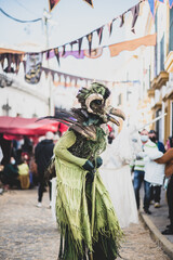 Wall Mural - Vertical shot of a man with a carnival costume in a Carnivale