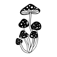 Magic Mushrooms. Psychedelic Hallucination. Outline Vector Illustration Isolated On White. 60s Hippie Art. Coloring Book For Kids And Adults.