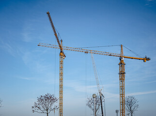 Wall Mural - Yellow Construction Cranes on Blue