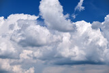 Fototapeta Niebo - Bright landscape of white puffy cumulus clouds on blue clear sky