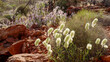 pink and white mulla mulla wildflowers growing at kings canyon