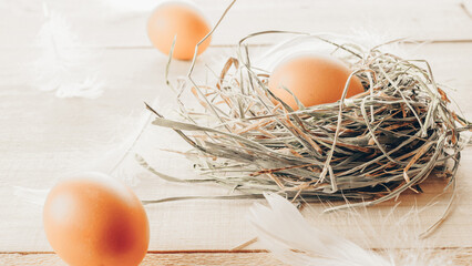 Wall Mural - Easter egg. Happy Easter decoration: natural colour eggs in basket with spring tulips, white feathers on wooden table background. Traditional decoration in sun light.