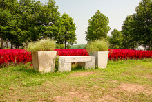 Stone Bench In Front Of Red Flowers