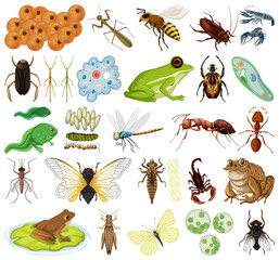 Sticker - Different kinds of insects and animals on white background